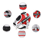 Charger l'image dans la galerie, Harnais Anti-Traction Chien EnduranceMax™ — Contrôle immédiat, sans douleur