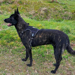 Charger l'image dans la galerie, Harnais pour chien - Harnais anti-tactique - BattlePro Harnais ConfortCanin™ - couleur noir