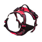 Charger l'image dans la galerie, Harnais pour chien - Harnais anti-traction ContrôlePro ConfortCanin™ - couleur rouge