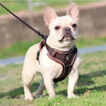 Charger l'image dans la galerie, Harnais pour chien - Harnais petit chien PetitPaws ConfortCanin™ Couleur café