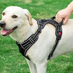 Charger l'image dans la galerie, Harnais pour chien - Harnais anti-traction ContrôlePro ConfortCanin™ - couleur noir