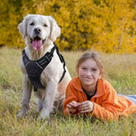 Charger l'image dans la galerie, Harnais pour chien - Harnais anti-traction ContrôlePro ConfortCanin™ - couleur noir