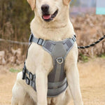 Charger l'image dans la galerie, Harnais pour chien - Harnais tactique - LibertéMax ConfortCanin™ - couleur Gris Treillis