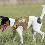 Charger l'image dans la galerie, Harnais pour chien - Harnais tactique MiniGuard de ConfortCanin™