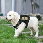 Charger l'image dans la galerie, Harnais pour chien - Harnais tactique MiniGuard de ConfortCanin™