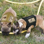 Charger l'image dans la galerie, Harnais pour chien - Harnais tactique MiniGuard de ConfortCanin™