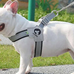 Charger l'image dans la galerie, Harnais pour chien - Harnais petit chien PetiteGuard de ConfortCanin™ Couleur noir