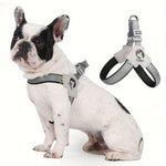 Charger l'image dans la galerie, Harnais pour chien - Harnais petit chien PetiteGuard de ConfortCanin™ Couleur noir