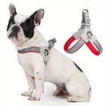 Charger l'image dans la galerie, Harnais pour chien - Harnais petit chien PetiteGuard de ConfortCanin™ Couleur rouge