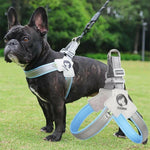 Charger l'image dans la galerie, Harnais pour chien - Harnais petit chien PetiteGuard de ConfortCanin™