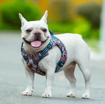 Charger l'image dans la galerie, Harnais pour chien - Harnais petit chien CaniFlora de ConfortCanin™