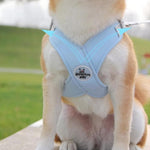 Charger l'image dans la galerie, Harnais pour chien - Harnais petit chien CaniFlora de ConfortCanin™