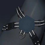 Charger l'image dans la galerie, Harnais pour chien - Harnais petit chien CaniFlora de ConfortCanin™