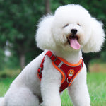 Charger l'image dans la galerie, Harnais pour chien - Harnais petit chien TinyTrek ConfortCanin™ Couleur rouge