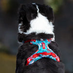 Charger l'image dans la galerie, Harnais Anti-Traction TrueLove ConfortCanin™