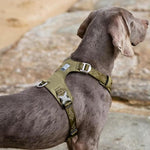 Charger l'image dans la galerie, Harnais Anti-Traction TractoFit ConfortCanin™