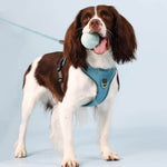 Charger l'image dans la galerie, Harnais Chien Premium Confort UrbanWalk™ | Anti-Traction Élégant et Poignée Cuir