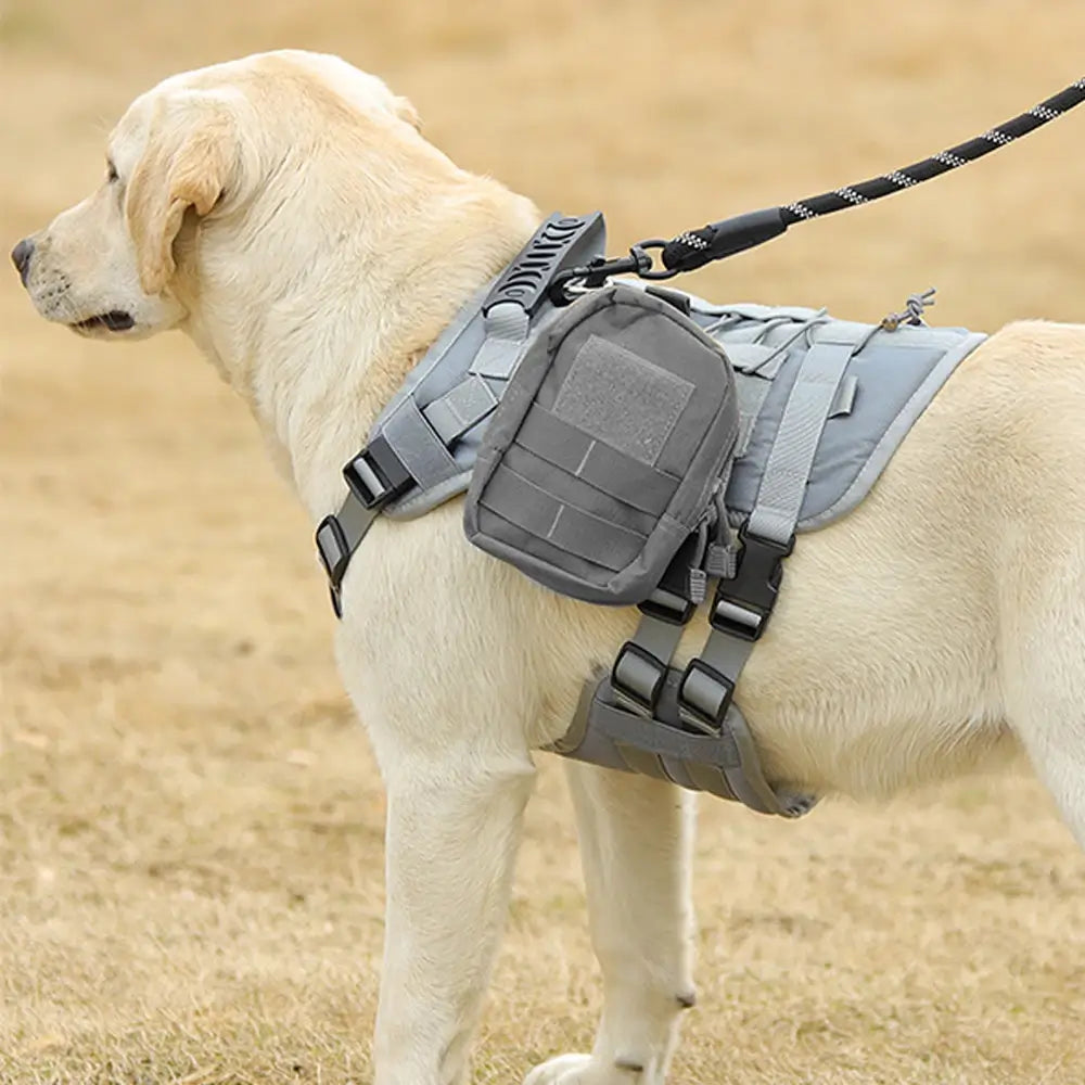 Harnais pour chien - Harnais tactique - LibertéMax ConfortCanin™ - couleur Gris Treillis