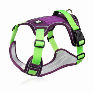 Harnais pour chien - Harnais anti-traction SécuritéPlus ConfortCanin™ - couleur vert