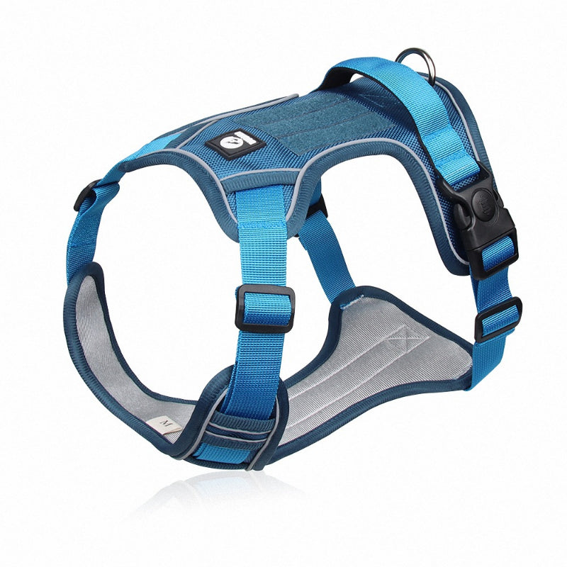 Harnais pour chien - Harnais anti-traction SécuritéPlus ConfortCanin™ - couleur bleu