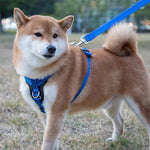 Charger l'image dans la galerie, Harnais anti traction en cuir pour chien
