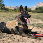 Charger l&#39;image dans la galerie, Harnais pour chien - Harnais Tactique LibertéMax de ConfortCanin™ - couleur khaki
