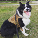 Charger l&#39;image dans la galerie, Harnais pour chien - Harnais Tactique LibertéMax de ConfortCanin™, couleur khaki
