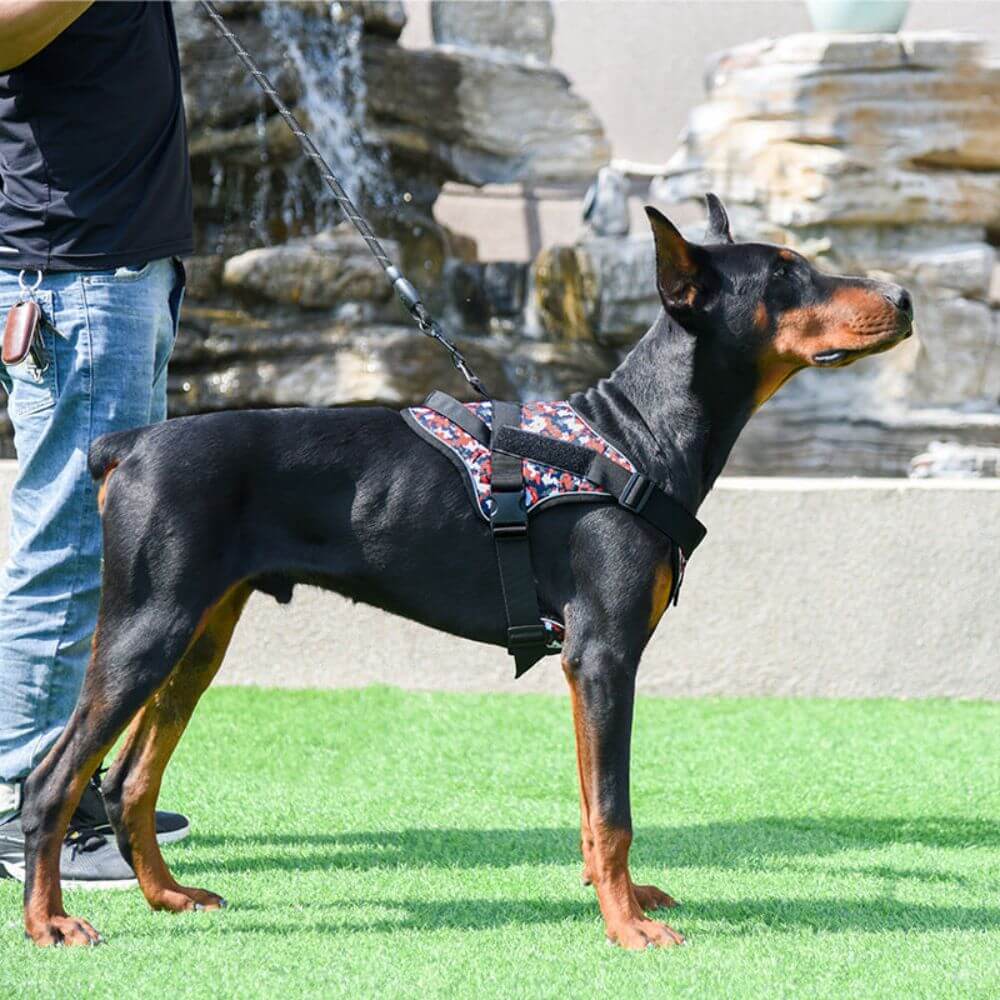 Harnais pour chien - Harnais anti-traction AlphaMax ConfortCanin™ - couleur camouflé