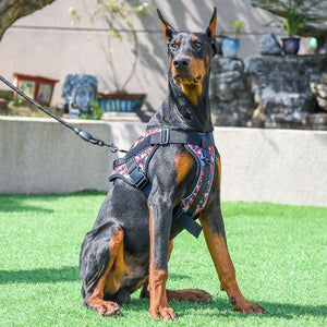 Harnais pour chien - Harnais anti-traction AlphaMax ConfortCanin™ - couleur camouflé 