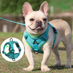 Charger l'image dans la galerie, Harnais pour chien - Harnais petit chien PetitPaws ConfortCanin™
