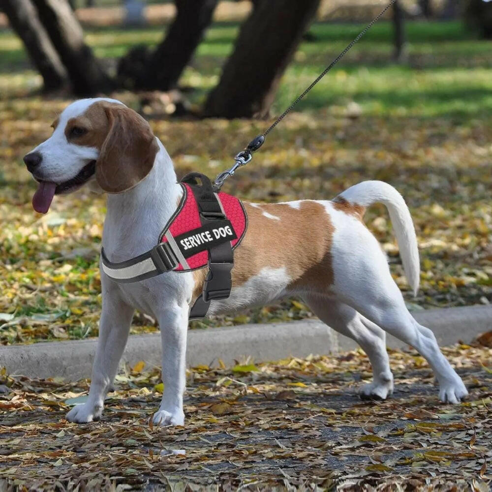 Harnais pour chien - Harnais Anti-Traction ServiceDog ConfortCanin™ - Bleu