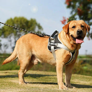 Harnais pour chien - Harnais Anti-Traction EnduranceMax ConfortCanin™ - couleur noir