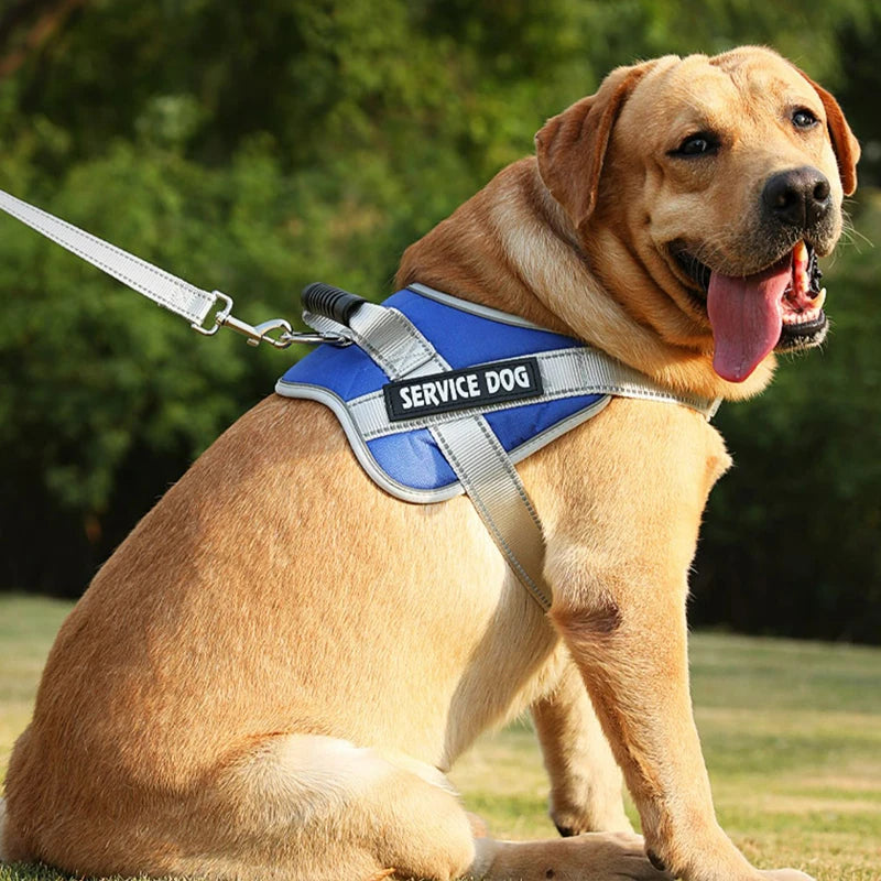 Harnais pour chien - Harnais Anti-Traction EnduranceMax ConfortCanin™ - couleur bleu