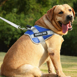 Charger l&#39;image dans la galerie, Harnais pour chien - Harnais Anti-Traction EnduranceMax ConfortCanin™ - couleur bleu
