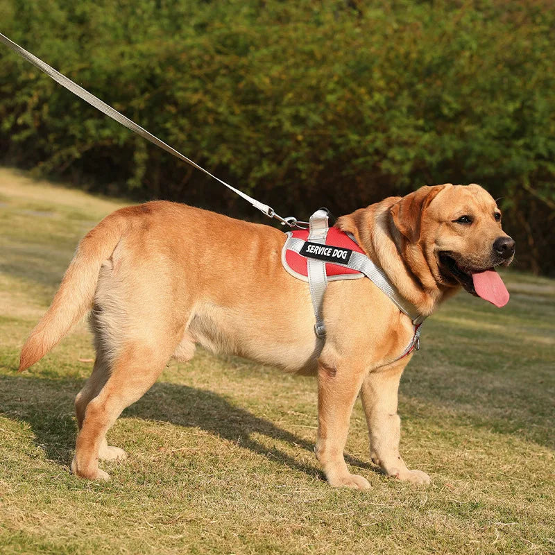 Harnais pour chien - Harnais Anti-Traction EnduranceMax ConfortCanin™ - couleur rouge
