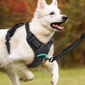 Harnais pour chien - Harnais anti-traction ContrôlePro ConfortCanin™ - couleur noir