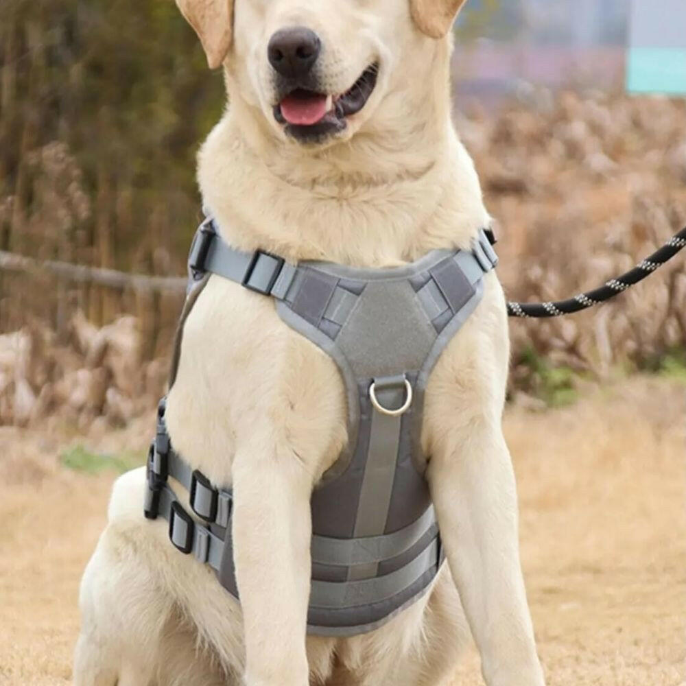 Harnais pour chien - Harnais tactique - LibertéMax ConfortCanin™ - couleur Gris Treillis