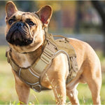 Charger l&#39;image dans la galerie, Harnais pour chien - Harnais tactique - BattlePro Harnais Militaire ConfortCanin™ - couleur khaki
