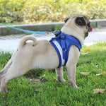 Charger l'image dans la galerie, Harnais pour chien - Harnais Petit Chien MiniFit ConfortCanin™ Couleur bleu

