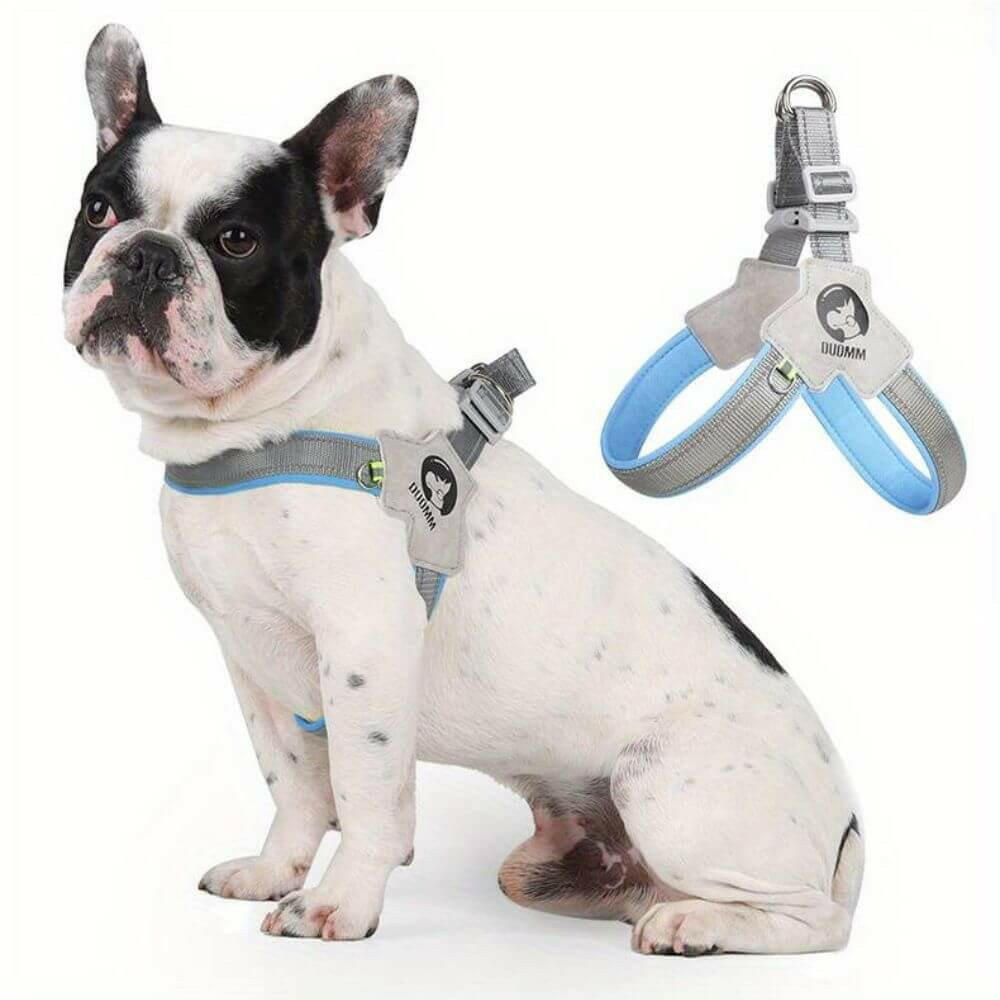 Harnais pour chien - Harnais petit chien PetiteGuard de ConfortCanin™ couleur bleu