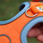 Charger l'image dans la galerie, Harnais pour chien - Harnais petit chien TinyTrek ConfortCanin™ Couleur rouge
