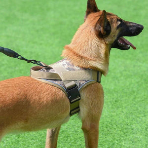 Harnais pour chien - Harnais anti-traction AlphaMax ConfortCanin™ - couleur camouflé marron