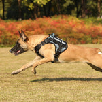 Charger l'image dans la galerie, Harnais pour chien - Harnais Tactique CaniForce de ConfortCanin™  
