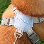 Charger l'image dans la galerie, Harnais pour chien - Harnais petit chien CaniFlora de ConfortCanin™ 
