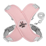 Charger l'image dans la galerie, Harnais pour chien - Harnais petit chien CaniFlora de ConfortCanin™ couleur rose
