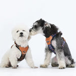 Charger l'image dans la galerie, Harnais petit chien
