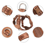 Charger l'image dans la galerie, Harnais petit chien
