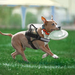 Charger l'image dans la galerie, Harnais pour chien - Harnais Tactique ServiceDog de ConfortCanin™  Style K9
