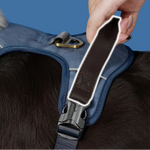 Charger l'image dans la galerie, Harnais Chien Premium Confort UrbanWalk™ | Anti-Traction Élégant et Poignée Cuir
