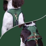 Charger l'image dans la galerie, Harnais Chien Premium Confort UrbanWalk™ | Anti-Traction Élégant et Poignée Cuir
